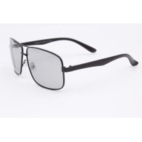 Sunglasses Polar Eagle PE8460
