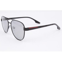 Sunglasses Polar Eagle PE8493