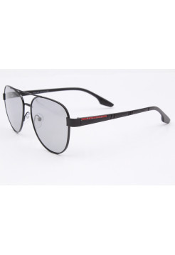 Sunglasses Polar Eagle PE8493