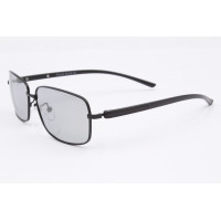 Sunglasses Polar Eagle PE8494