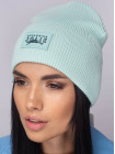 Buy Women's cap Fort mint