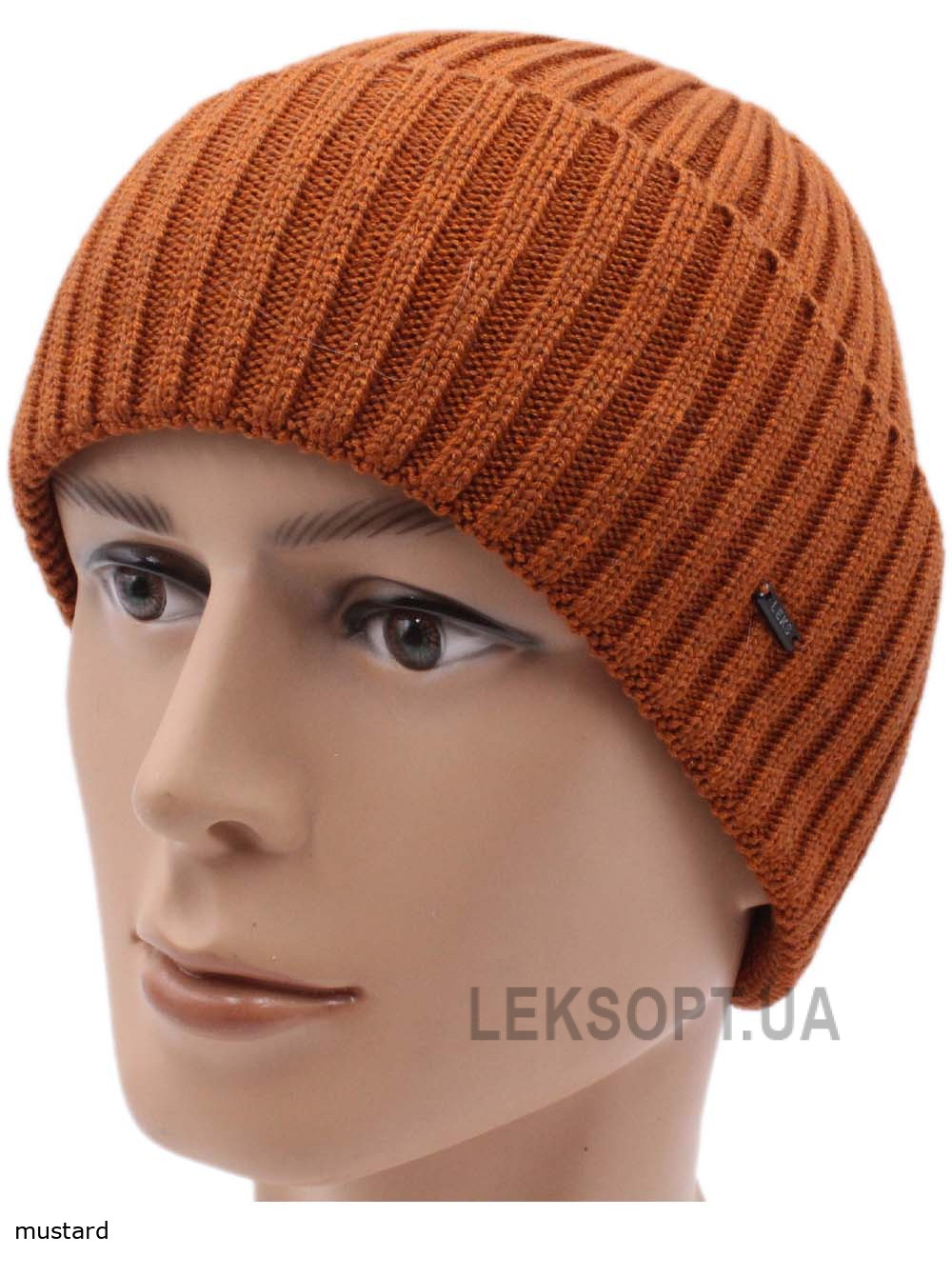 Men's hat Rendi