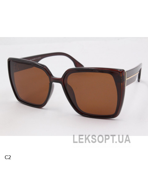 Polarized Glasses - PZ02059