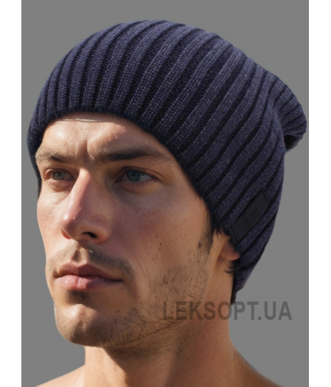 Men's hat Golos